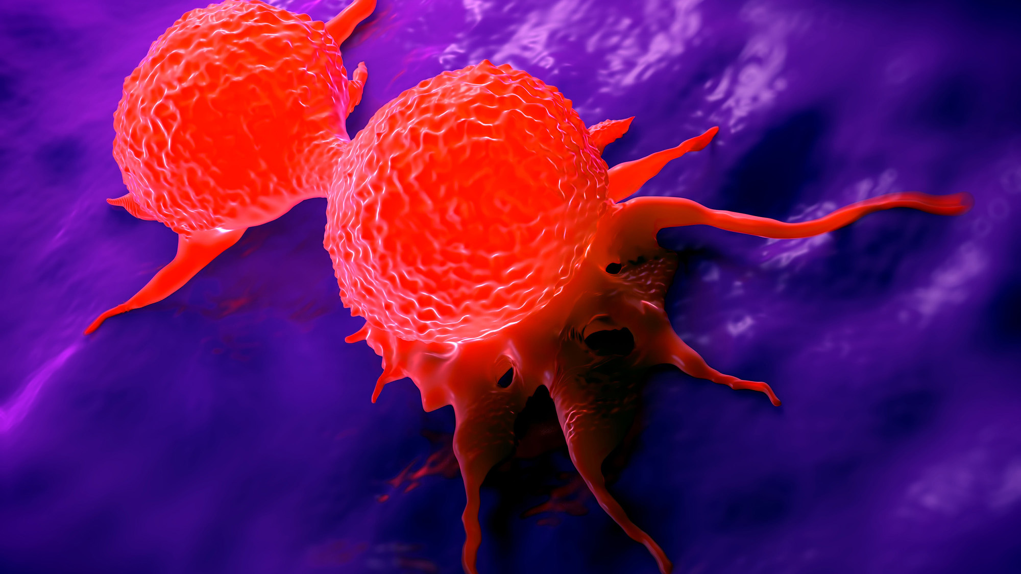 Die Wirkung von Medikamenten auf Krebszellen messen